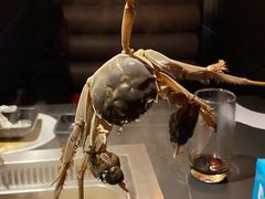 -星伦多自助料理·涮烤一体(虹悦城店)