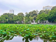 -烈士陵园(地铁站)