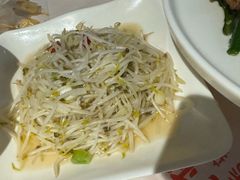 村长的豆芽-叒缘夜光杯(望江橡树林店)