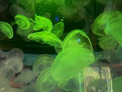 -横店影视城梦幻谷园区