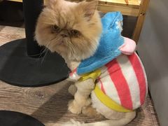 -小时光咖啡馆(开森度假森林店)