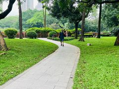 -晓港公园