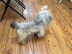 -志龙皇冠吃货椰子铺