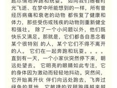 -彩虹桥宠物火化殡葬善终服务(金乐大厦店)