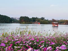 -海珠湖公园