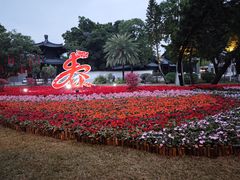 -荔湾湖公园