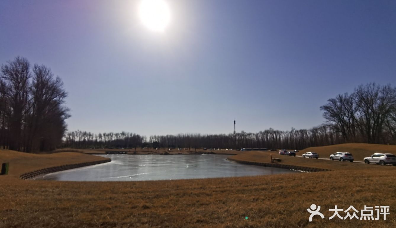 大兴野生动物园半日游