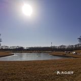 大兴野生动物园半日游