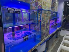 -陈老斯呼尔嗨吃烧烤(科巷店)