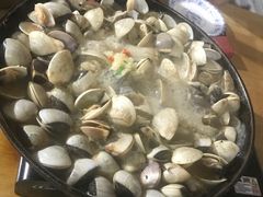 -顺德哥卜卜贝(旗舰店)