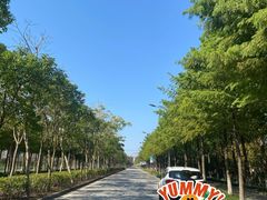 -上海长兴岛郊野公园