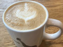 -ZOO COFFEE动物园咖啡(望京锐创店)