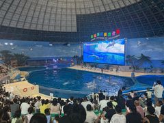 -泉城欧乐堡海洋极地世界