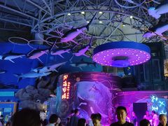 -烟台海昌鲸鲨海洋公园