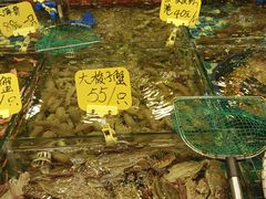 -厦门轮渡码头