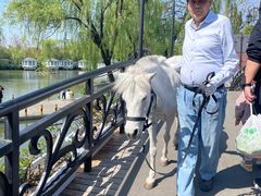 -J Create城市露营咖啡·简餐·宠物(上海动物园店)