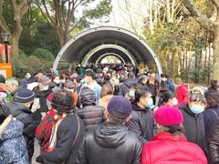 -人民公园-相亲角