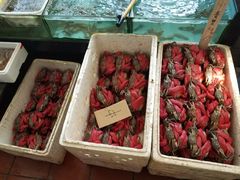 -莲花公园煎蟹(总店)