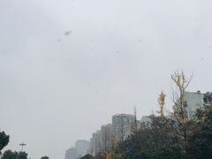 -杭州城北体育公园