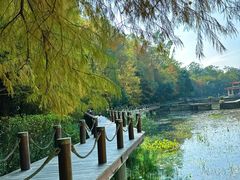 -深圳仙湖植物园