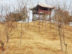 -马家湾湿地公园