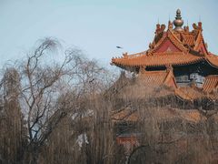 -北京市劳动人民文化宫(太庙)