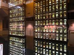 -广东中医药博物馆