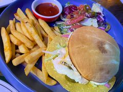 -Famous肥猫墨西哥音乐餐吧(五棵松华熙LIVE店)