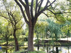 -蓝天路(地铁站)