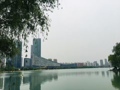 -天鹅湖体育公园