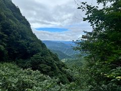 -王顺山国家森林公园