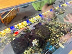 -红糖水都·女生特炖·中式滋补炖(北辰店)