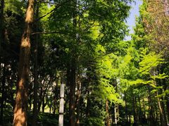 -苏州河梦清园环保主题公园