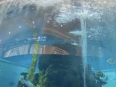 -鸿通城购物中心