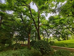 -元大都城垣遗址公园