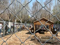 -长白岛森林公园