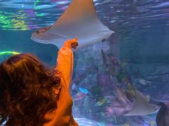 -沈阳海洋探索中心