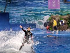 -多彩贵州城极地海洋世界