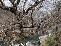 -鹿亭中村