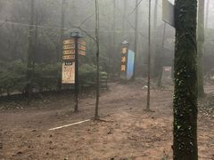 -梦幻奥陶纪景区