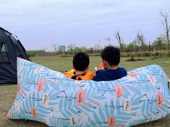 -春花秋色城市公园