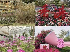 -旧雨咖啡·CoffeeFORU(黄村奥体店)