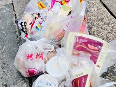 -猫的魔法密林(衣裳街店)