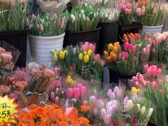 -循礼门鲜花花市(武汉循礼门店)