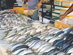 -尼甘布海鲜市场