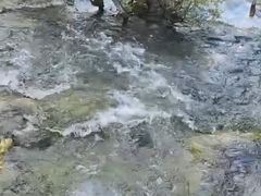 -九寨沟-树正沟