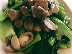 草菇盖菜-马凯餐厅(长椿街店)