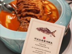 -阿五黄河大鲤鱼(英协路店)