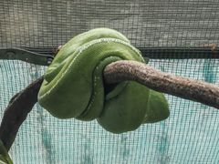 -可伦宾野生动物保护区