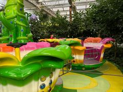 -南宫五洲植物乐园